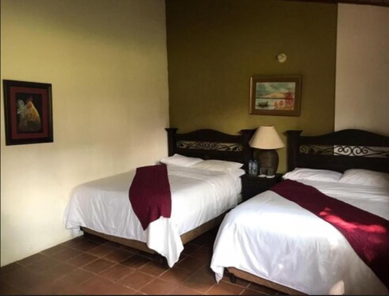Hotel Los Olivos 5