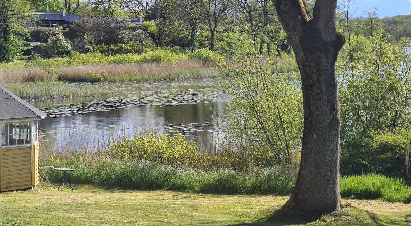 The Old Mill By The Lake image