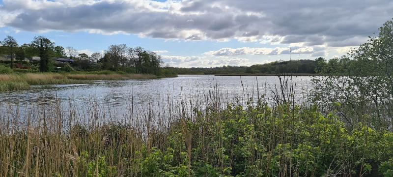 The Old Mill By The Lake image