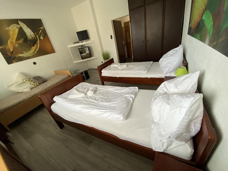 Pension Lizzi image