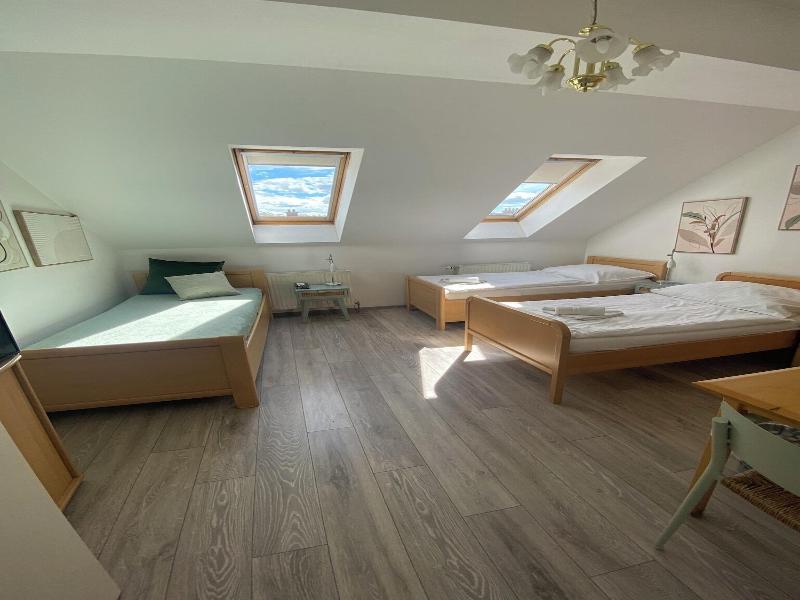 Pension Lizzi image