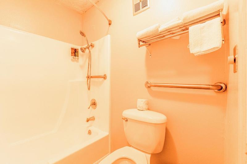 Lone Star Inn image