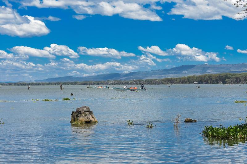 Lake Naivasha Crescent Camp image