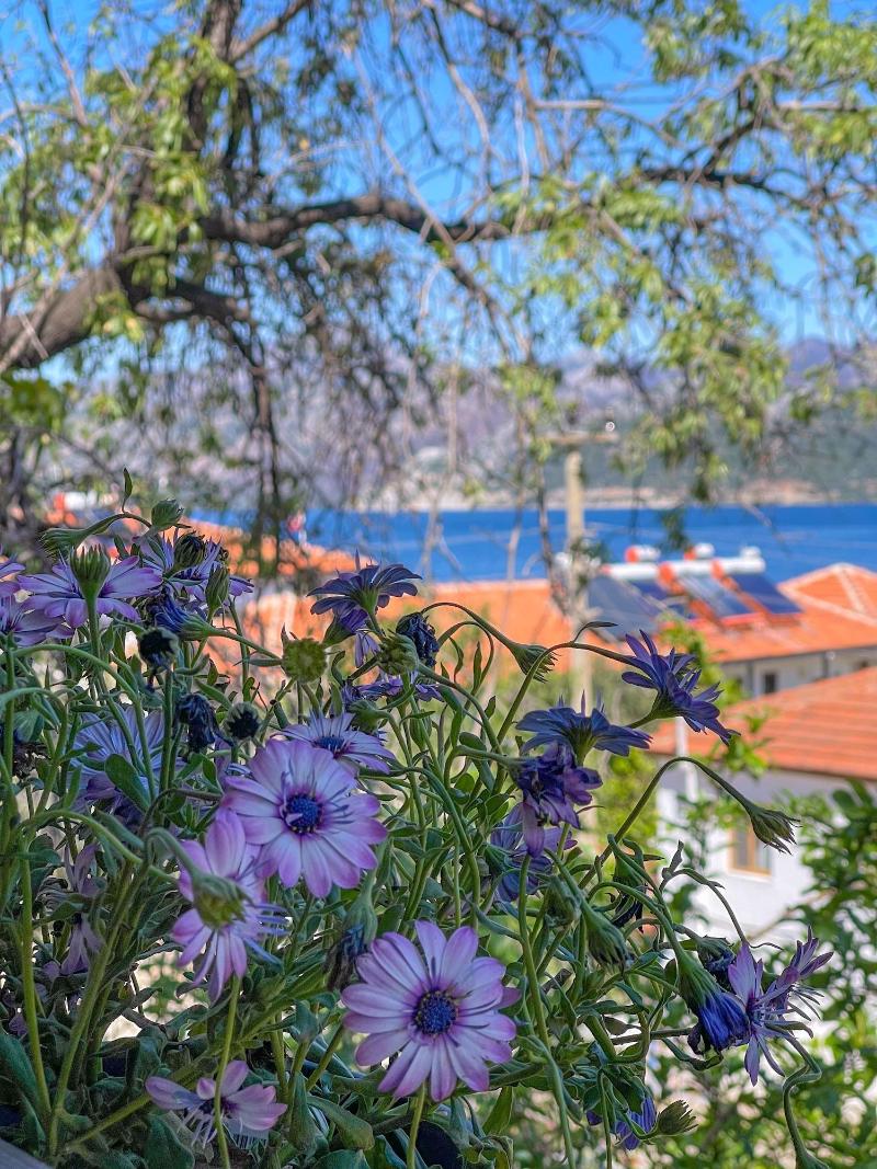 Selimiye11oda image