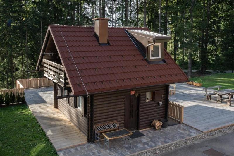 Koa A Storzek image