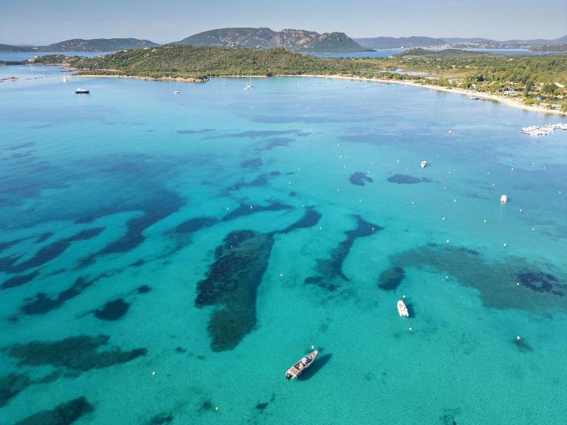 Son De Mar image