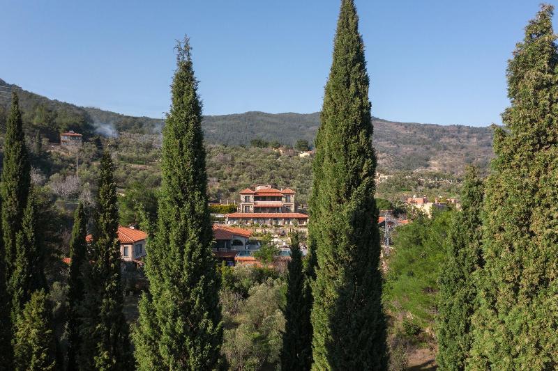 Nadas Kazdaglara image
