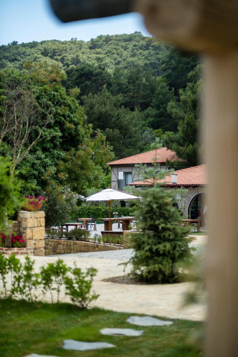 Nadas Kazdaglara image