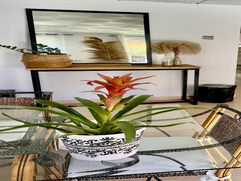 Hotel Las Ama Ricas image