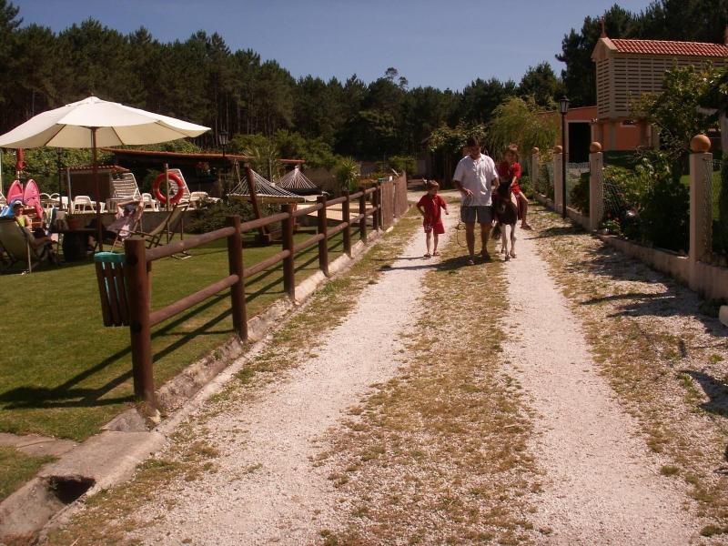 Cabaa As De Lires image