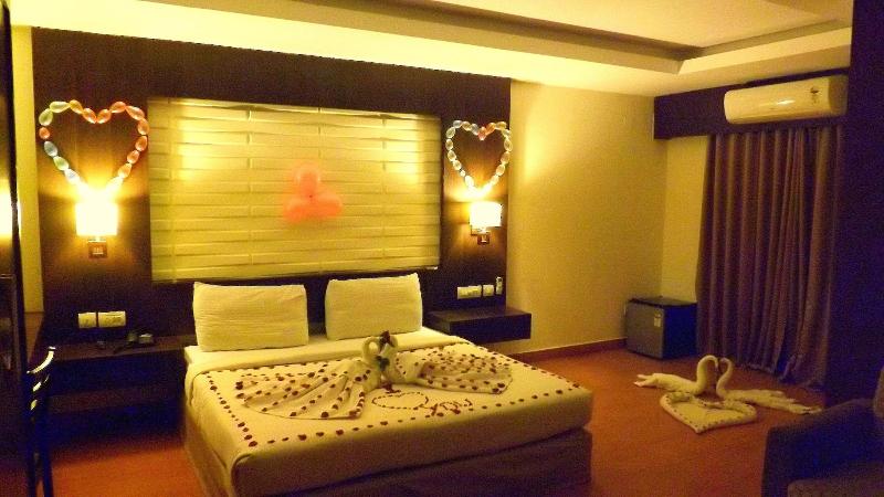 Castle International Premium Hotel image