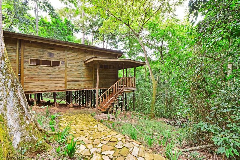 The Rainforest Geo Lodge