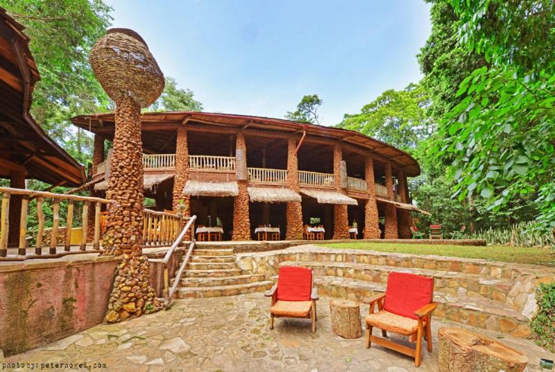 The Rainforest Geo Lodge