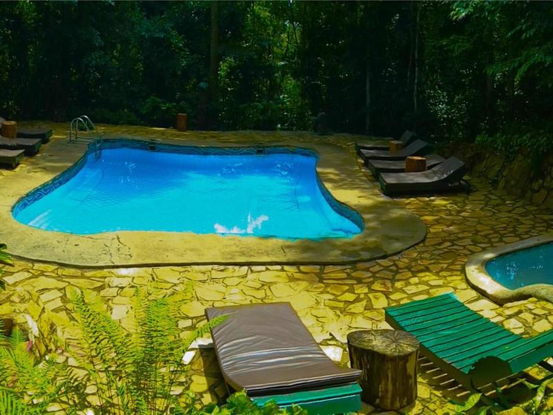 The Rainforest Geo Lodge