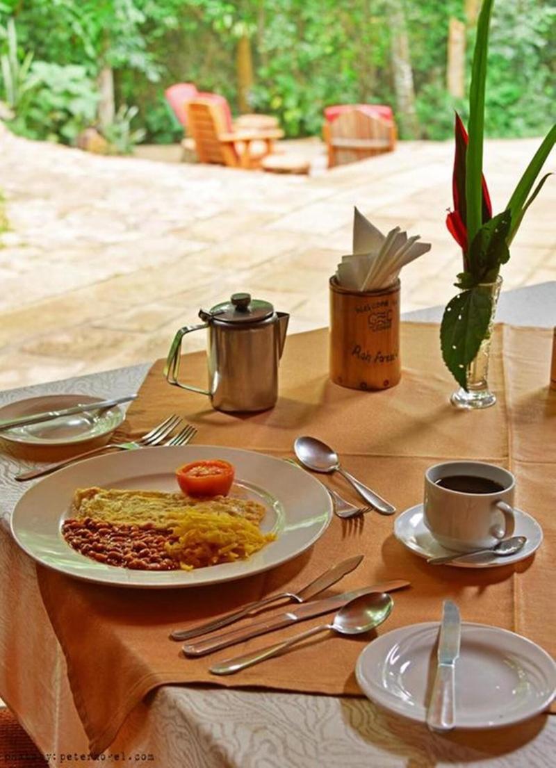 The Rainforest Geo Lodge