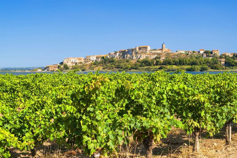 Village Vacances Azureva Sigean image