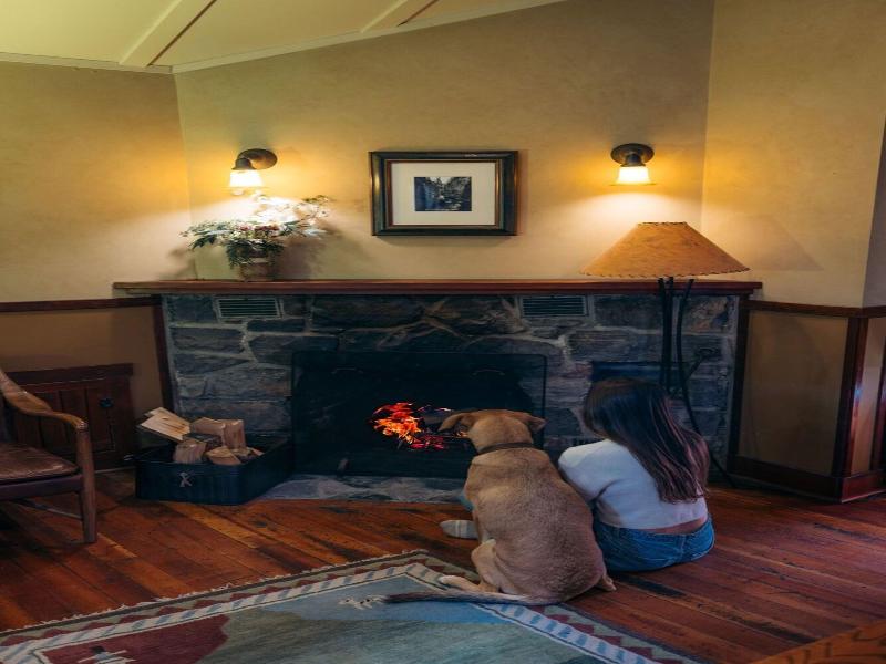 Johnston Canyon Resort