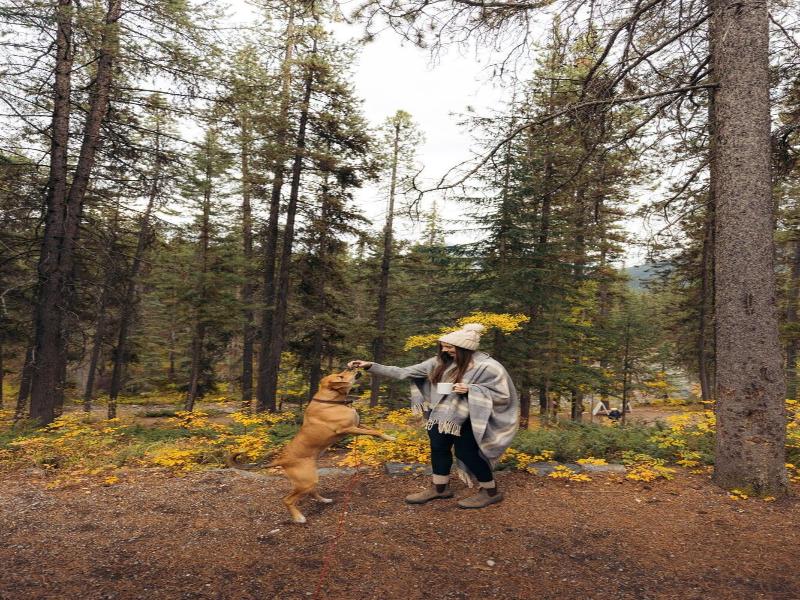 Johnston Canyon Resort