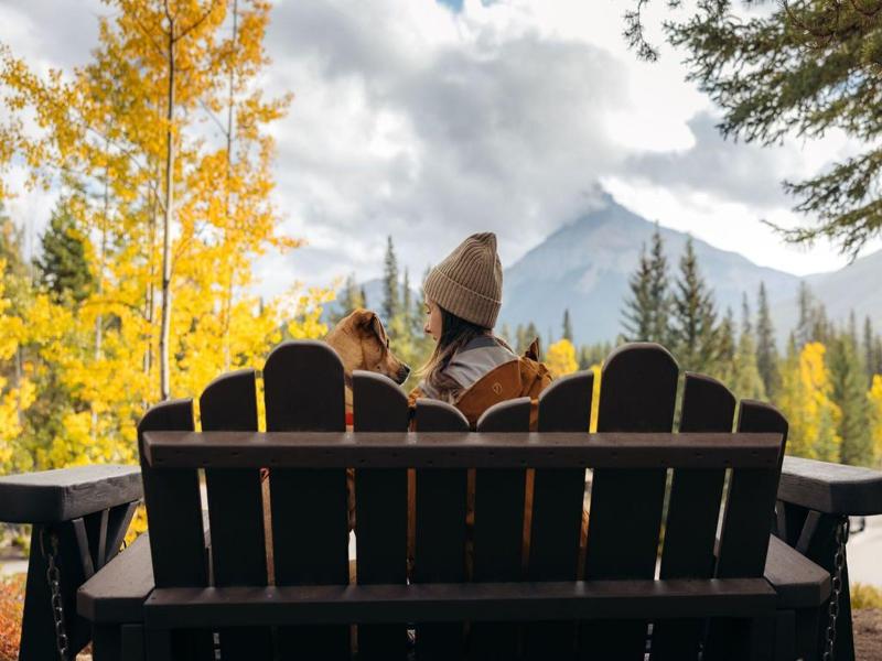 Johnston Canyon Resort