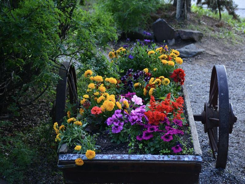 Johnston Canyon Resort