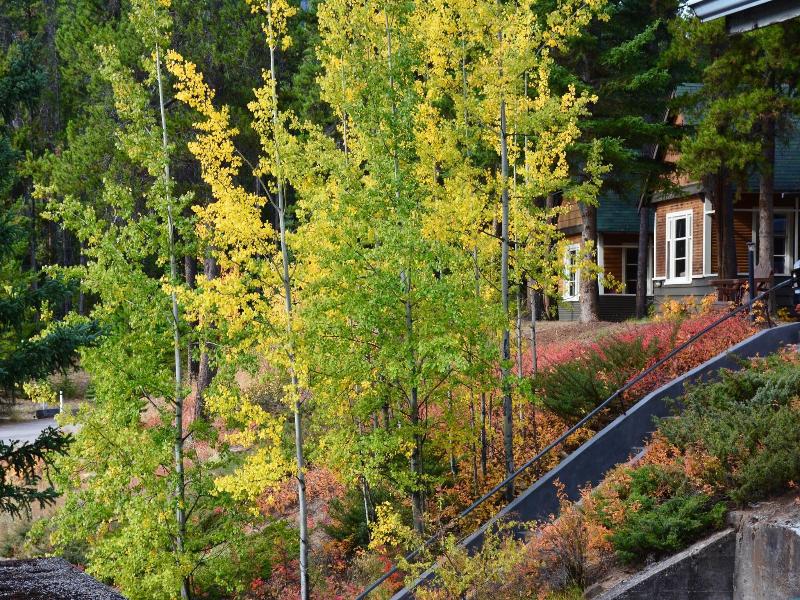 Johnston Canyon Resort