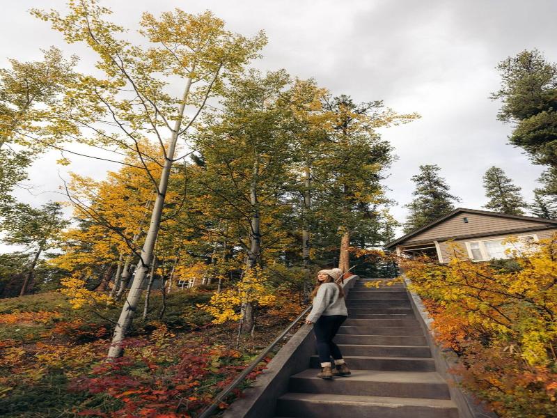 Johnston Canyon Resort