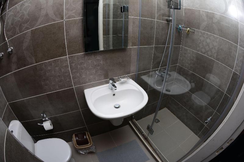 Sakan 275 image