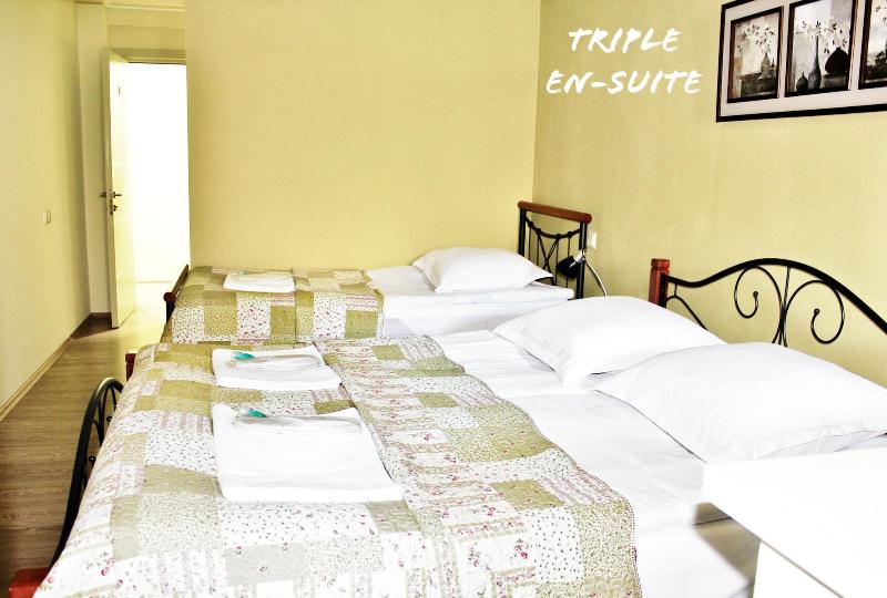Red Fox Guesthouse image