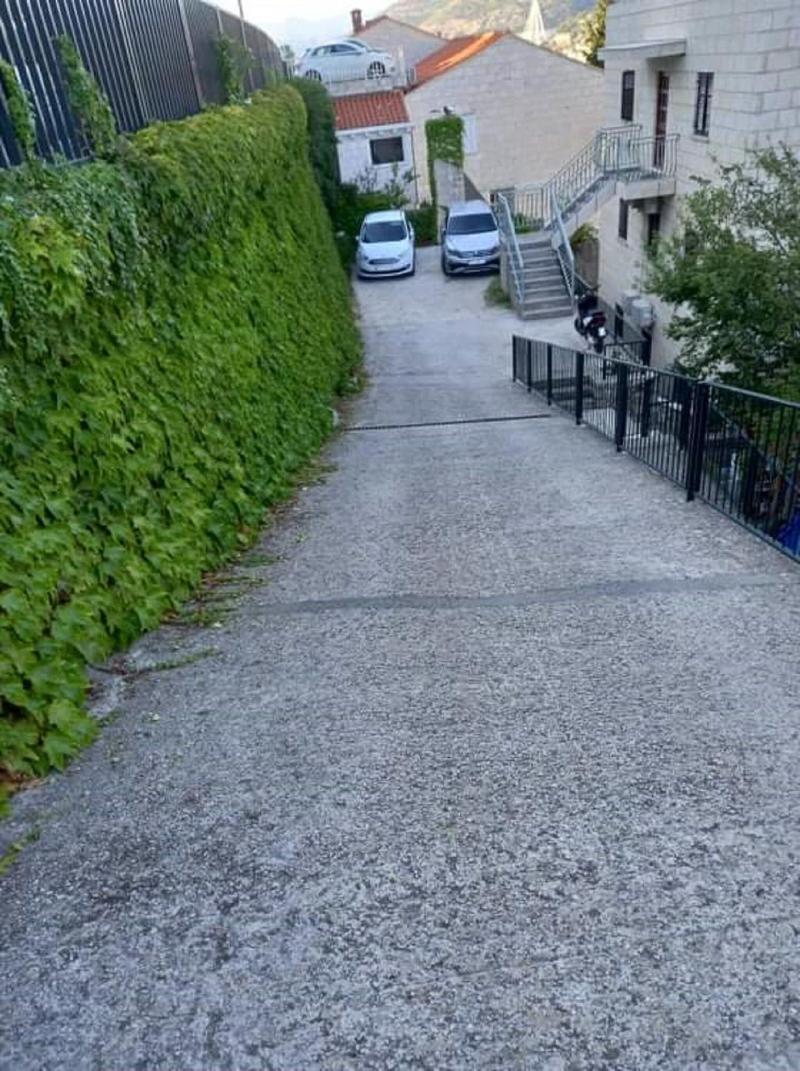Guest House Cesic image