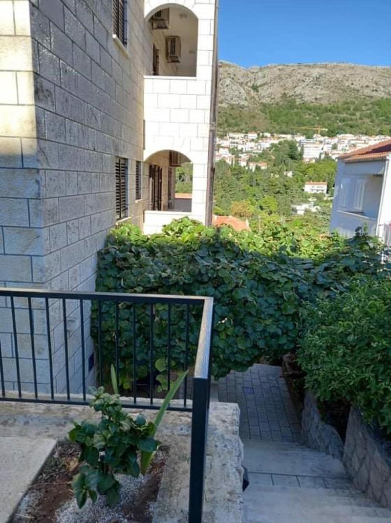 Guest House Cesic image