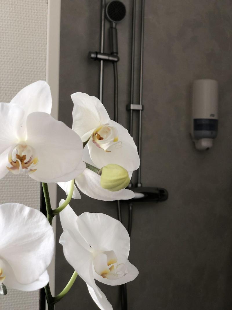 Ja Rnva Gshotellet image
