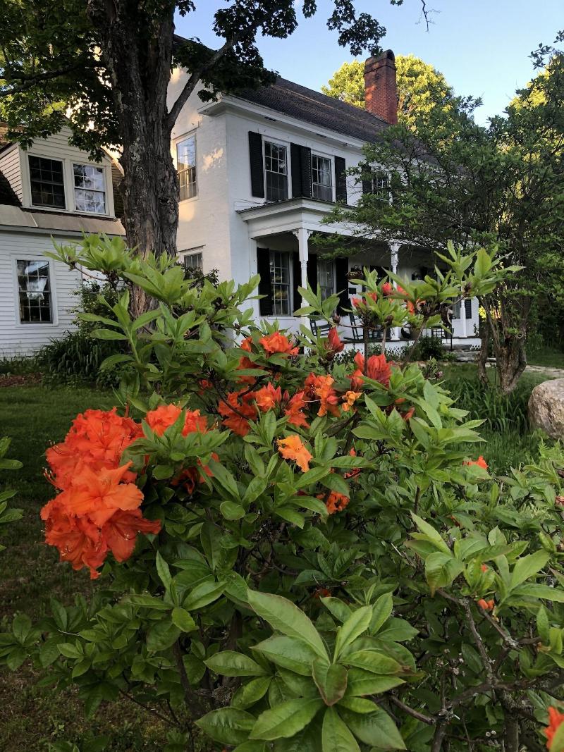 Stone Hearth Inn And Eatery image