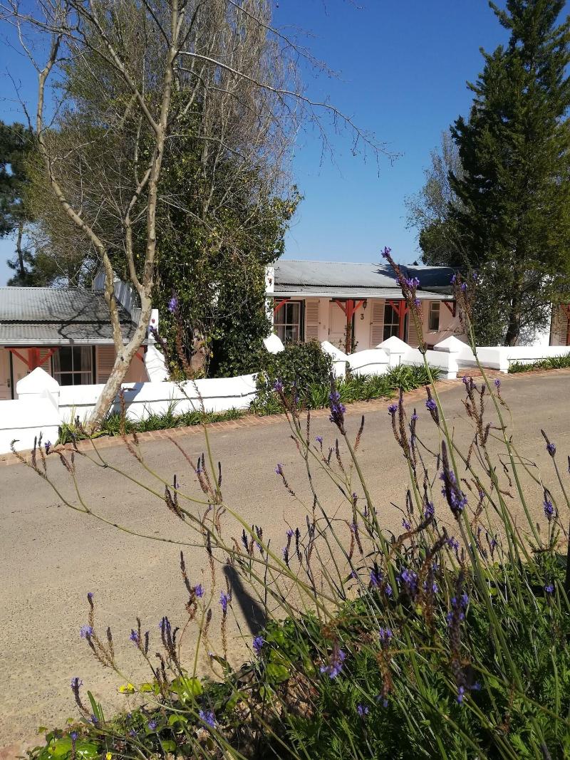 Zevenwacht Wine Estate image