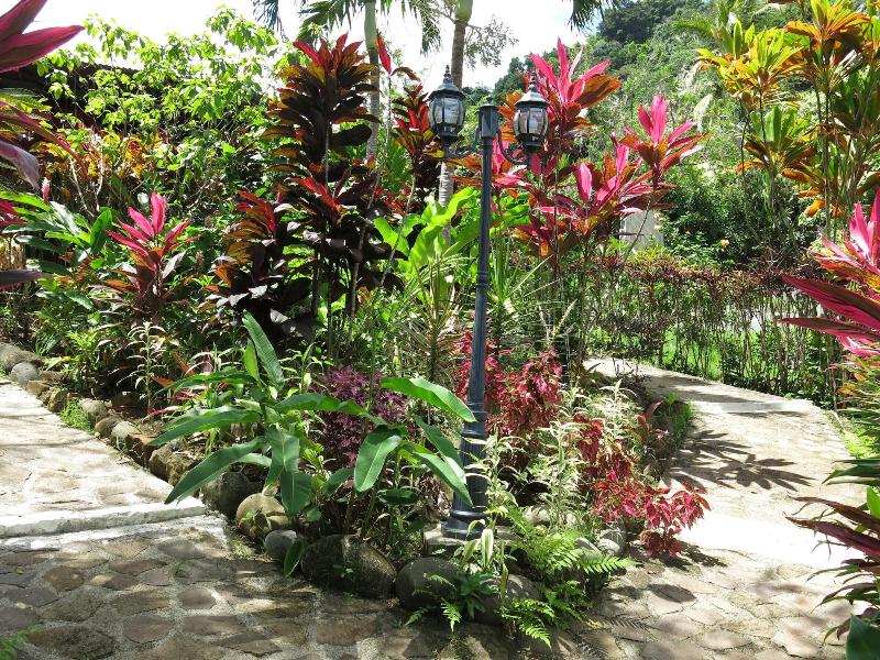 Hibiscus Valley Inn image