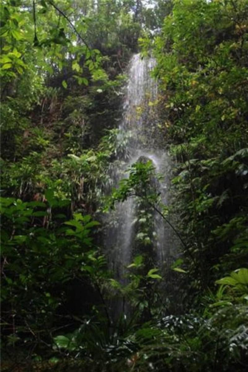 Hibiscus Valley Inn image