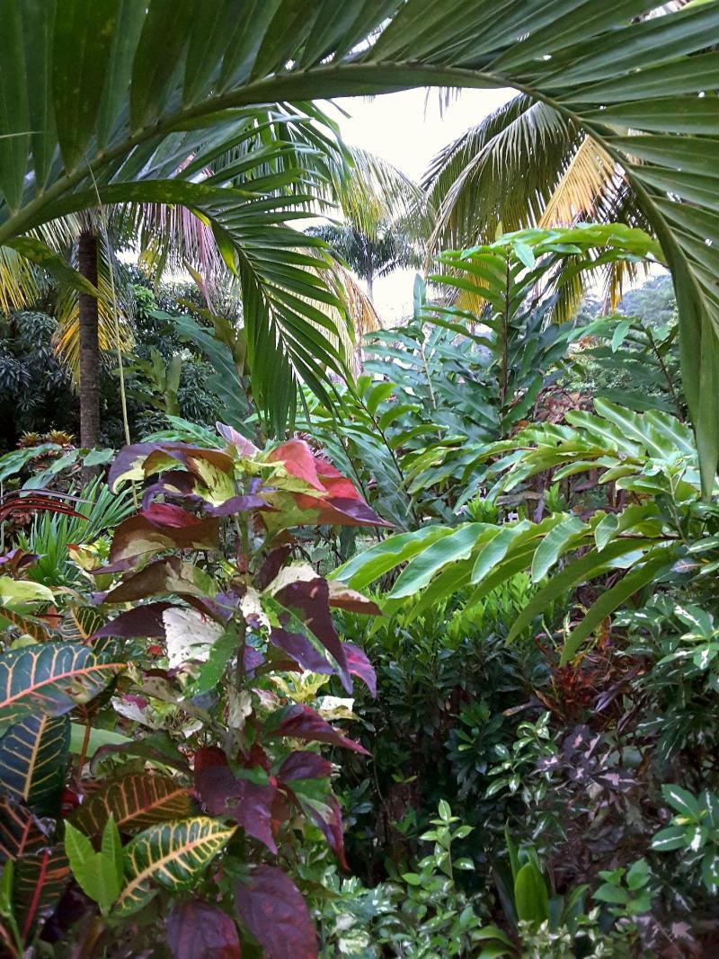 Hibiscus Valley Inn image