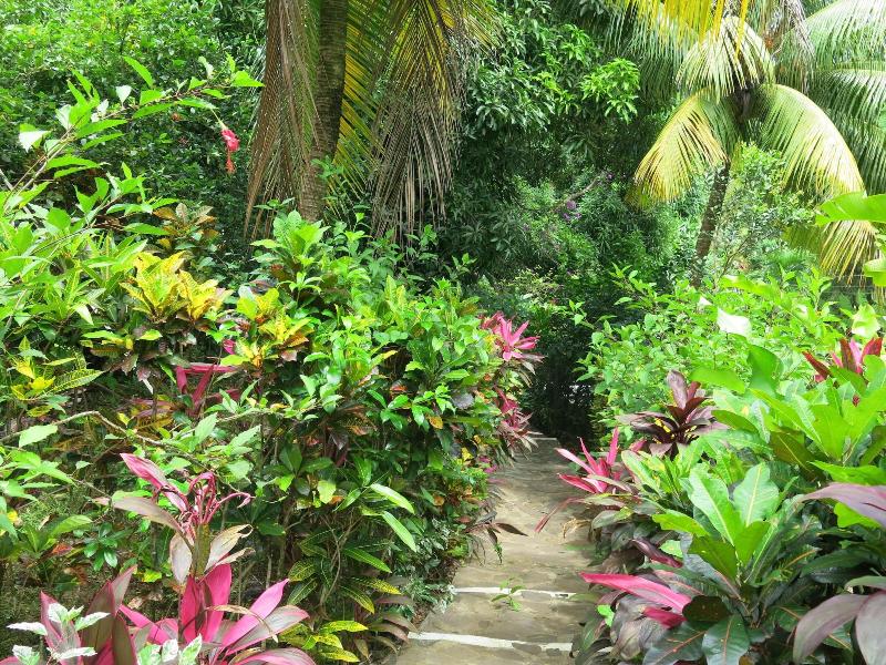 Hibiscus Valley Inn image
