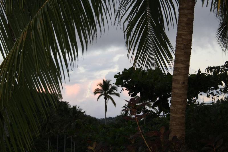 Hibiscus Valley Inn image