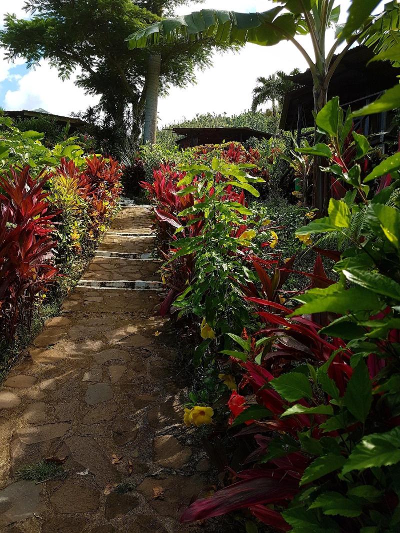Hibiscus Valley Inn image