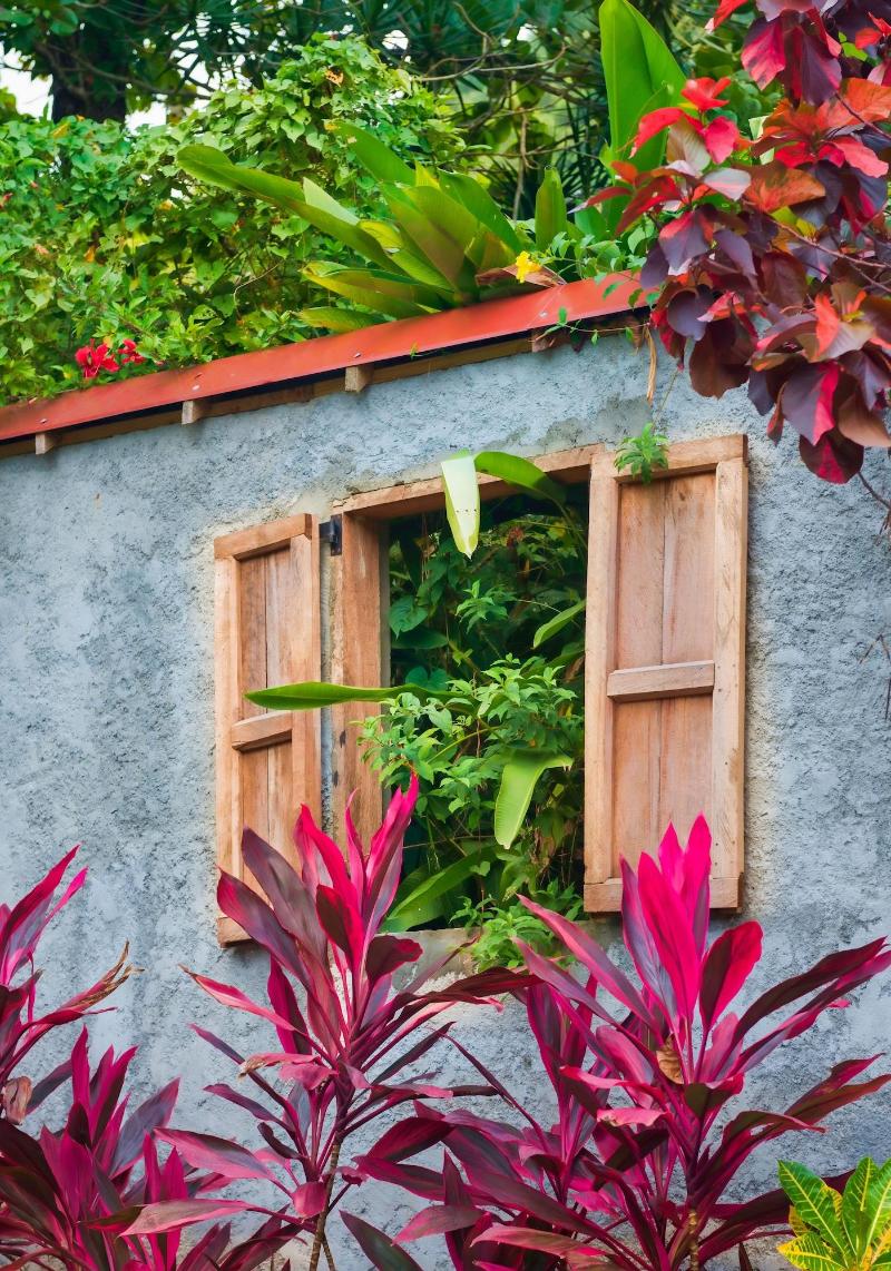Hibiscus Valley Inn image