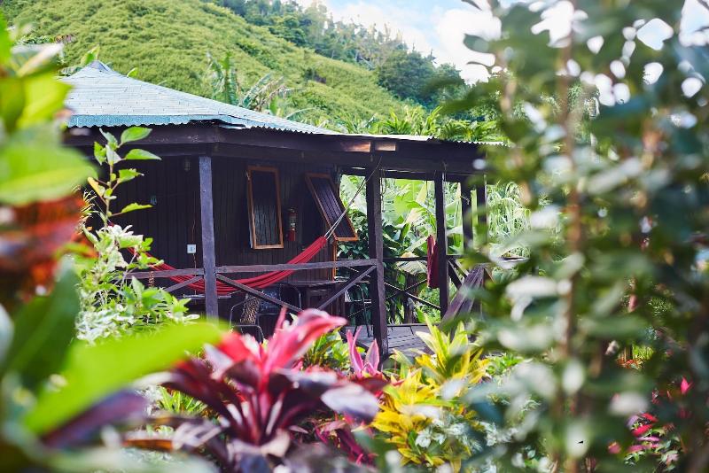Hibiscus Valley Inn image