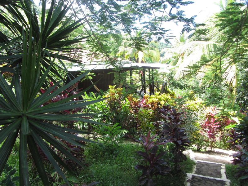 Hibiscus Valley Inn image