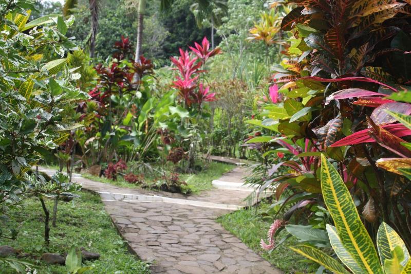 Hibiscus Valley Inn image