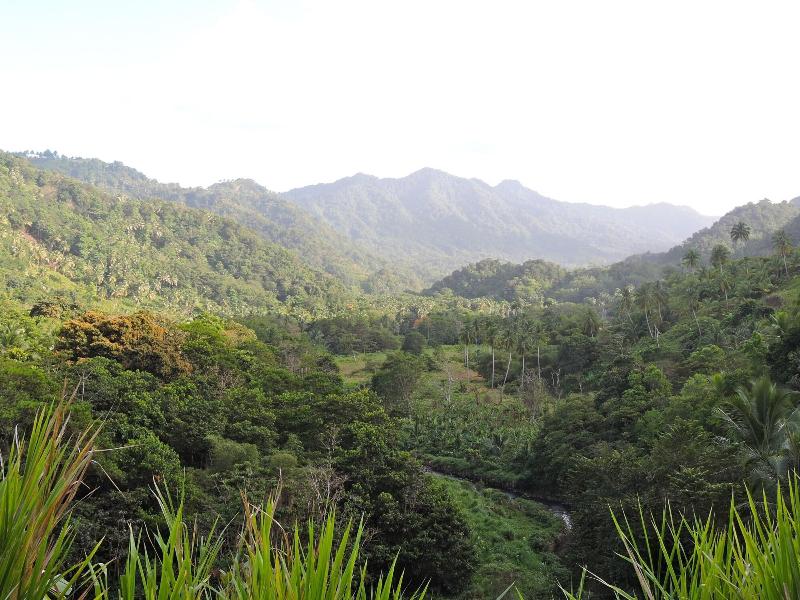 Hibiscus Valley Inn image