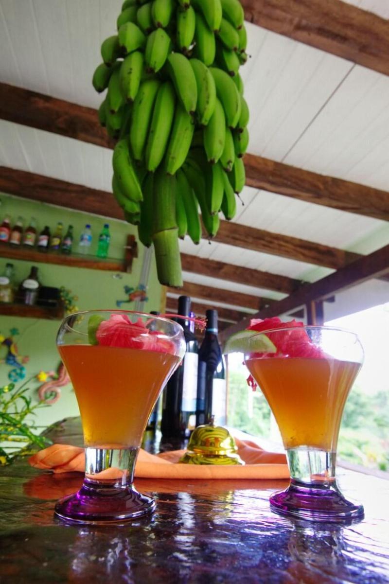 Hibiscus Valley Inn image