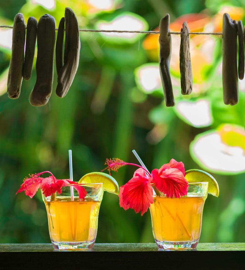 Hibiscus Valley Inn image