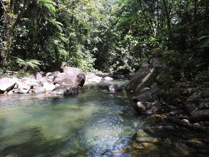 Hibiscus Valley Inn image