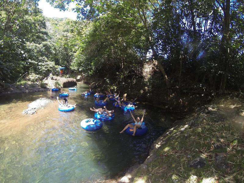 Hibiscus Valley Inn image