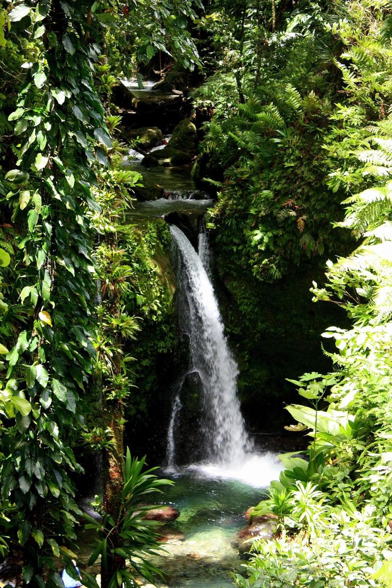 Hibiscus Valley Inn image