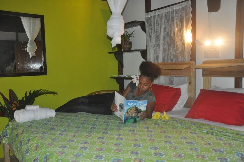 Hibiscus Valley Inn image